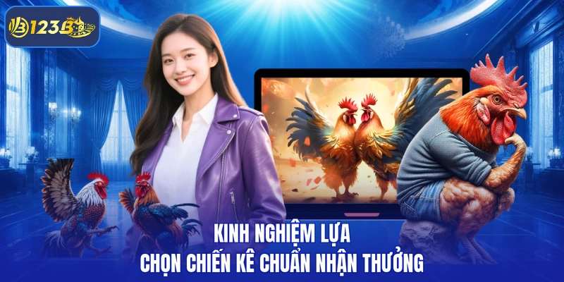 Kinh nghiệm lựa chọn chiến kê chuẩn nhận thưởng